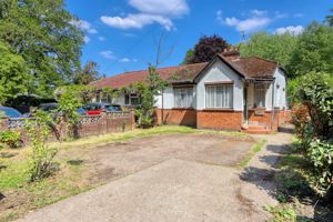 Photo 12- click for photo gallery